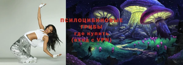 дмт Арсеньев