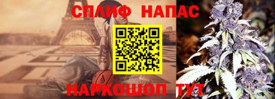Альфа ПВП Донецк
