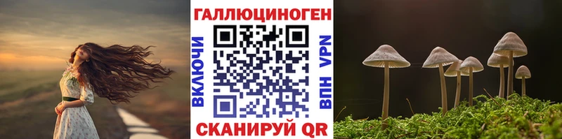 Псилоцибиновые грибы мухоморы  кракен зеркало  Менделеевск 
