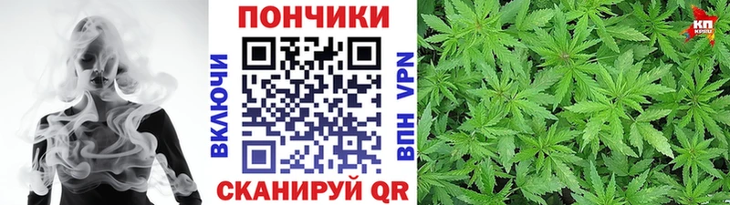 darknet как зайти hydra зеркало Менделеевск Бошки марихуана Ganja